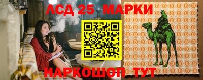 шишки Нальчик
